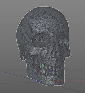 Another Skull @ Pinshape