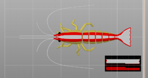 Articulated Cleaner Shrimp - MMU