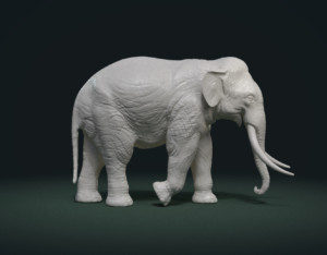 Asian Elephant @ Pinshape