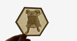 Boxer - lithophane