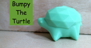 Bumpy The Turtle