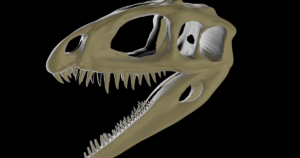 Cryolophosaurus Skull