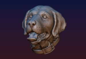 Labrador Head @ Pinshape