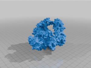 Pfu DNA Polymerase by MakerMolBio
