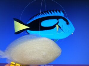 Print this Fish: 3D Printing Challenge @ Pinshape