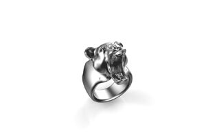 Ringpuma @ Pinshape