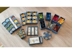 Terra Mystica Insert - Bonus and Town Tile Box by Oligodendrozyt