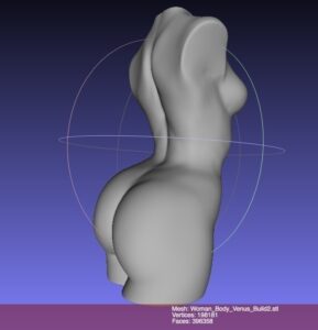 Woman Torso Sculpt (Decimated) @ Pinshape