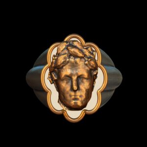 cesar bronze silver ring @ Pinshape