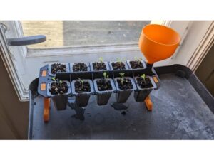 Quick-pot / seeding planter with integrated watering system by Bastienator