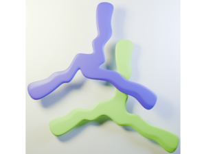 Wonky Triblader Boomerangs by lapjoint