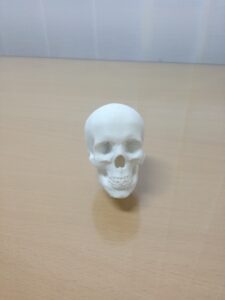 gear lever skull @ Pinshape