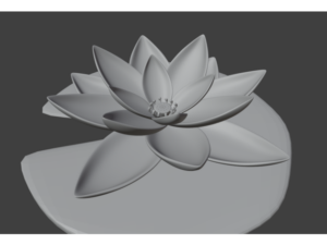 lotus by sanina