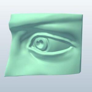 Free 3D Open Eye V1 Model