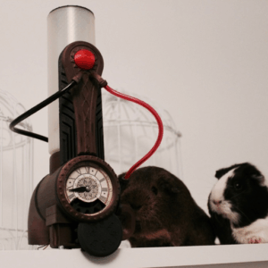 Amnesia a machine for guinea pigs