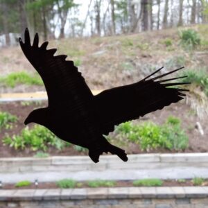 Bird Decals for Bird Safety