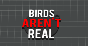 Birds Aren't Real Keychain