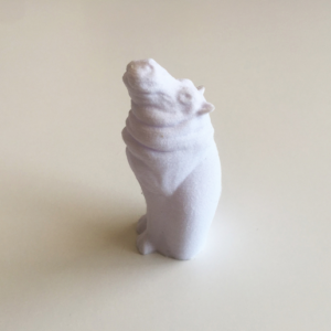 Cat Hippo