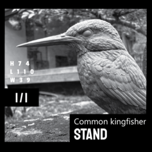 Common kingfisher_Stand version (1:1) 3D Model