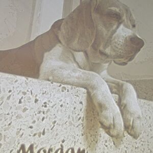 LITOFANIA beagle