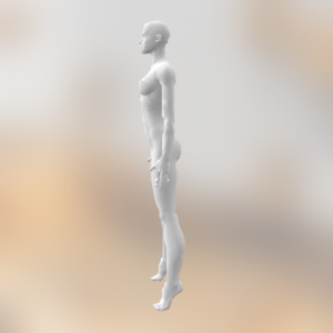 Naked Female