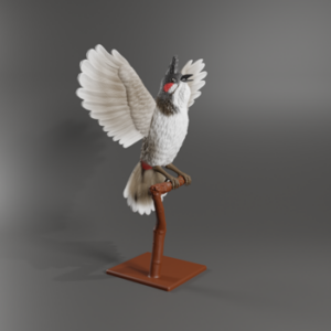 RED-WHISKERED BULBUL 3D Model