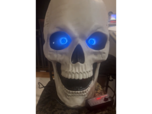 Skelly Life Eyes Mount by JeepJKDude