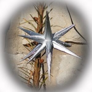 Star for christmas tree