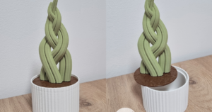 Succulents Box: Snake Plant Braid (S. Cylindrica) by BotaniCat | Download free STL model