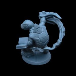Turtle Wizard 3D Model