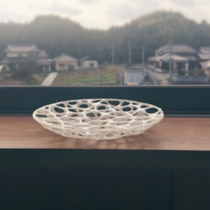 Voronoi dish