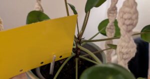Yellow Sticky Traps Holder by maximilian1001 | Download free STL model