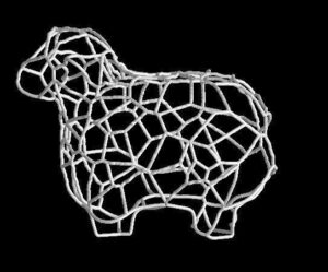 voronoi sheep @ Pinshape
